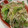 ゆりはるみ♡'s cooksnap of when they made 簡単中華風！青梗菜ともやしのナムル.