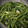 クックPCKCO5☆'s cooksnap of when they made ベトナム風　空芯菜とニンニクの塩炒め.