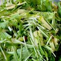 rilke's cooksnap of when they made 私の水菜とりんごのサラダ.