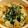 tomitomico's cooksnap of when they made なおみんのおいしい餃子鍋.