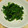 tais0903's cooksnap of when they made 麺つゆで簡単★菜の花のからし和え.
