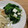 ポメちょん's cooksnap of when they made ほうれん草とチーズの和え物.