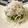 ベティ３'s cooksnap of when they made おつまみに簡単に1品☆お豆腐シラス乗せ.