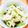 payaちゃん's cooksnap of when they made キャベツの常備菜.
