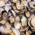 kfumin's cooksnap of when they made あさりの酒蒸し.