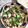 SUNMOONMOM's cooksnap of when they made アカモクと豆腐のとろとろ和え.