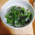 ロイヤルミルク♪'s cooksnap of when they made しらすとほうれん草の胡麻和え.