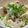 toshio39's cooksnap of when they made 豆腐に醤油麹♪.