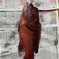 クックH86AFM☆'s cooksnap of when they made 簡単!魚のうろこの取り方.