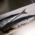 メリー・モコ's cooksnap of when they made サンマの内臓の取り方.