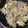 四児のハハ's cooksnap of when they made 【簡単】豚肉とネギと卵の白だし炒め.