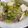 ねこ966's cooksnap of when they made ペペロン風肉豆腐.