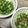 みりん調味料's cooksnap of when they made ご飯のお供！　★刻みオクラ★.