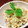ちゃちゃまる26's cooksnap of when they made おろしごぼうの炊き込みご飯　ごぼう香る！.