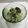 ❁Abake❁'s cooksnap of when they made 水菜と豆腐のゴママヨサラダ.