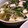 クリーピングタイム☆'s cooksnap of when they made 簡単！小松菜と 豆腐のとろみ中華スープ♪.
