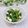 Satoco❋'s cooksnap of when they made ❀春❀菜の花とクリームチーズのわさび和え.