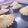 Moko❀Sora's cooksnap of when they made 思い出の昔懐かしマドレーヌ.