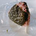 毎日楽ちん乗っけ弁当's cooksnap of when they made もっちもち！黒米のおにぎり＼(^_^)／.