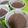 クック0UQ98I☆'s cooksnap of when they made お家にあるものでミルクココア寒天.