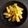 ひさかた's cooksnap of when they made ☆ブロッコリーの茎の味噌漬け☆.