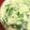 ゆきにな's cooksnap of when they made 水菜と卵とかまぼこのお味噌汁.