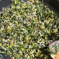 xMARILYNx's cooksnap of when they made 大根葉と梅としらす干しの混ぜご飯.
