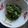 ぴあののりこ's cooksnap of when they made ほうれん草の生姜醤油おひたし.