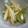 トクライ's cooksnap of when they made ★エコレシピ★ 大根の皮で簡単漬物.