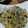 noaさん's cooksnap of when they made 簡単ヘルシー☆セロリとしらすのごま塩炒め.