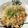 しげその's cooksnap of when they made 炊飯器で簡単ピラフ.