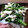 ちょこ✪0214's cooksnap of when they made ♥からし菜と鶏ささみの中華ごまあえ♥.