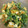 クック00N8WZ☆'s cooksnap of when they made かぼちゃとほうれん草のデリ風サラダ☆★.
