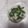 きらり流れ星's cooksnap of when they made 今日はおにぎり弁当4(刻み大葉).