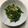 クック78R779☆'s cooksnap of when they made 混ぜるだけ！干し桜エビと菜の花のお浸し.