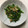 クック78R779☆'s cooksnap of when they made 混ぜるだけ！干し桜エビと菜の花のお浸し.