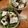 STfam's cooksnap of when they made 和風サラダ.