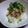 ☆めろんぱんＮａ☆'s cooksnap of when they made ＊自家製なめ茸＊.