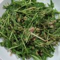 クック5SNINO☆'s cooksnap of when they made 水菜大量消費☆ツナと水菜の胡麻マヨサラダ.