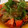 ajyuly's cooksnap of when they made 冷やしトマトのさっぱり和え.