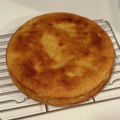 chihirola's cooksnap of when they made ふっくら♪ りんごとヨーグルトのケーキ.