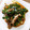 ゆーゅ☆'s cooksnap of when they made 簡単！わけぎと豚肉の甘辛卵とじ.