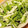 かなりんココりん's cooksnap of when they made 水菜と大根のやみつきサラダ.