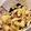 seacomet's cooksnap of when they made キャベツとツナわかめのやみつきサラダ♡.