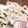 菜つ実☆ミ's cooksnap of when they made 簡単新玉ねぎとツナのマヨサラダ.