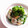 hiroerico's cooksnap of when they made 春の混ぜご飯〜あさりと菜の花で.