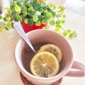 kpえもん♪'s cooksnap of when they made 風邪のひき始めに簡単ハチミツホットレモン.