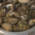 ばたみそーぱん☆'s cooksnap of when they made あさりの砂だし.