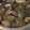 ばたみそーぱん☆'s cooksnap of when they made あさりの砂だし.