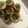 Cuisine！'s cooksnap of when they made 細ネギの豚肉巻き.